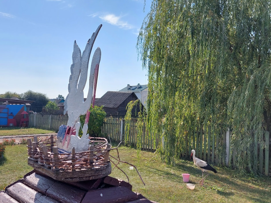 Аист Буся-2 6.jpg