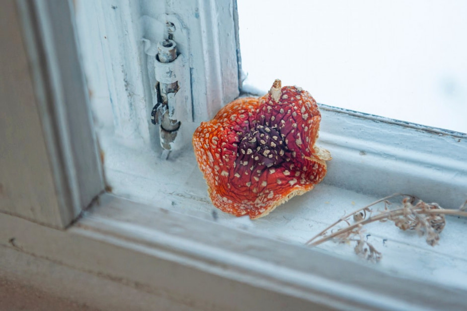 Архитектор купила деревенскую хату 29.jpg