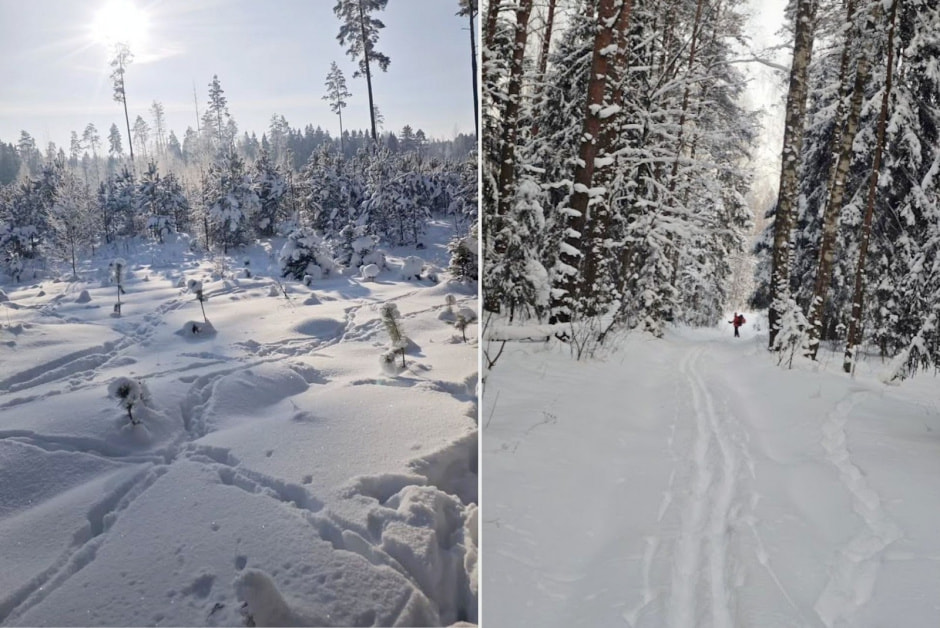 11-Зимние пейзажи.jpg