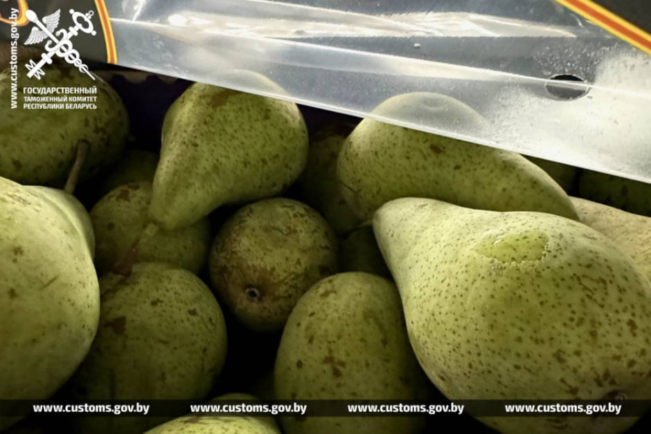 Таможенники преследовали фуру с 20 тоннами груш — водитель игнорировал сигнал об остановке (2).jpg