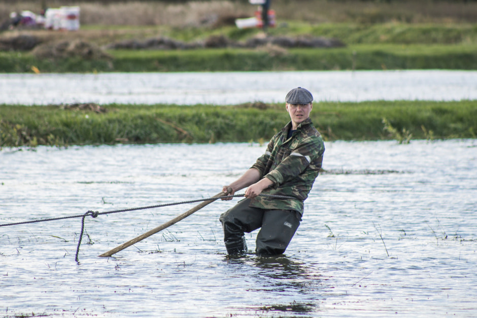Полесские журавины 16.jpg