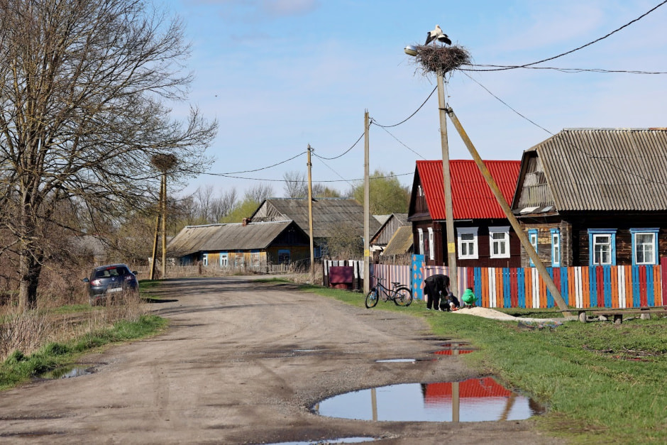 Аисты в деревне Малешев 1.jpg