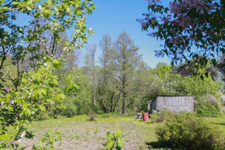 Што паглядзець у Ляхавічах 15.jpg