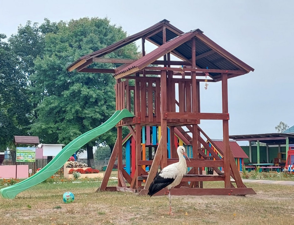 Аист в детском саду 3.jpg