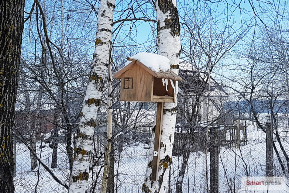 кормушка птицы.jpg