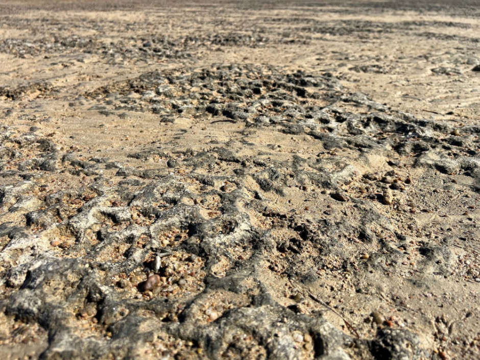 Отдых в Египте зимой 2024 7.jpg