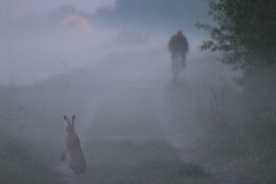 Финалисты конкурса Дикая природа Беларуси-2024 18.jpg