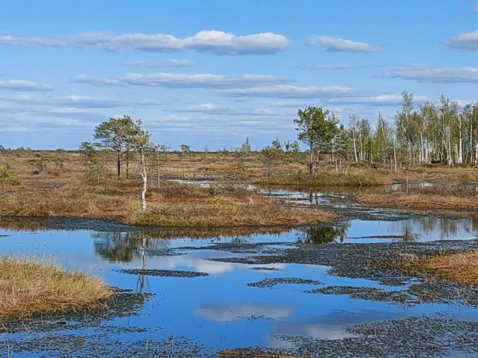 Поход на Ельню 10.jpg