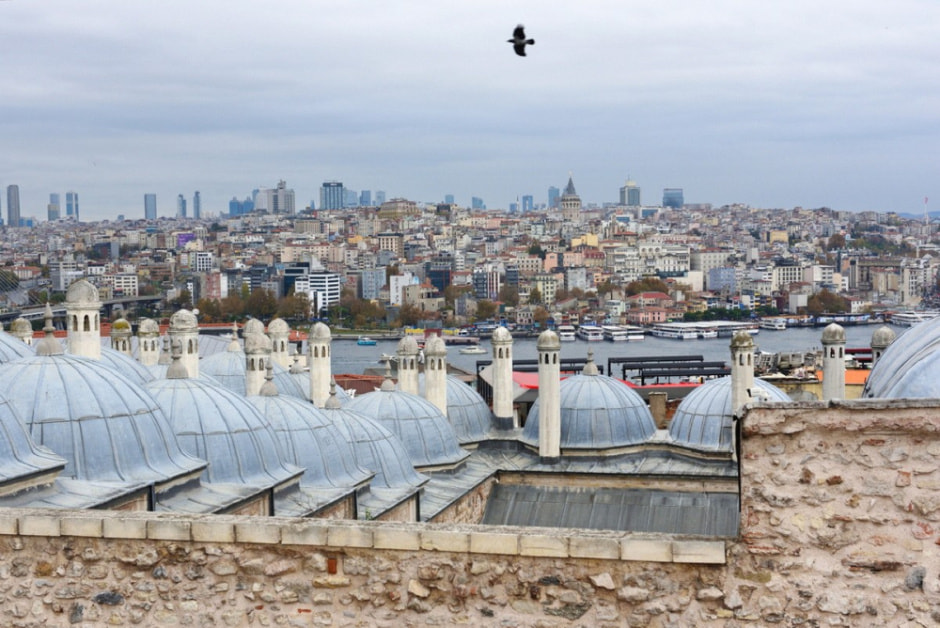 Гуляем по Стамбулу и знакомимся с котами 5.jpg