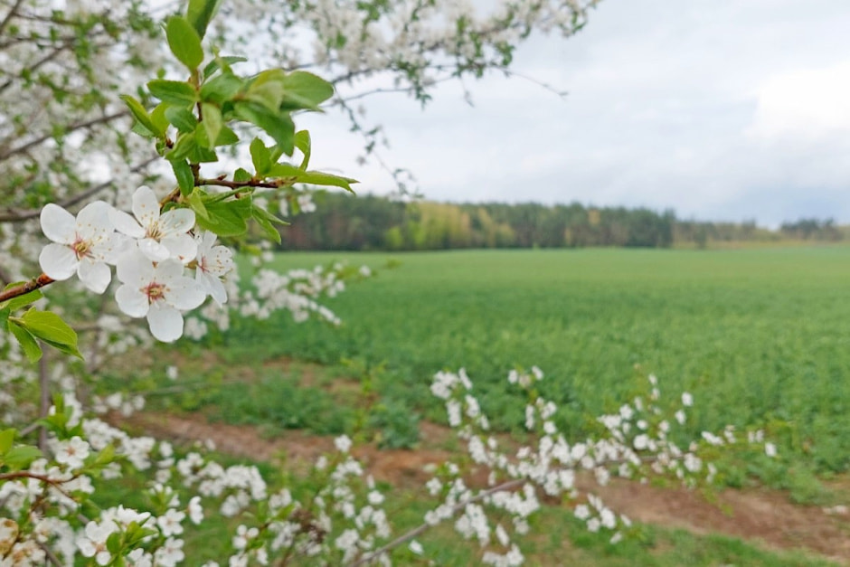 Семья Епиховых и их дача 33.jpg