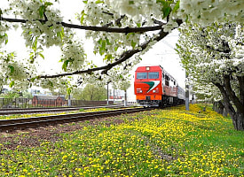 БЖД назначила ещё 60 дополнительных поездов на праздники – теперь их больше 100