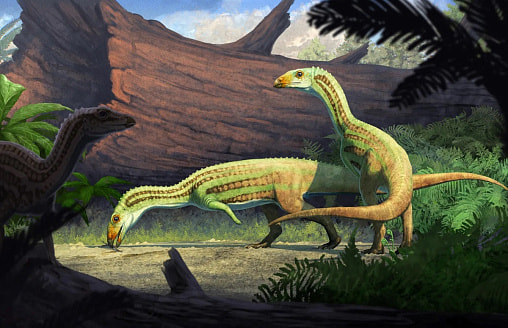 Древний родственник крокодила мог переходить с четырех лап на две по мере взросления