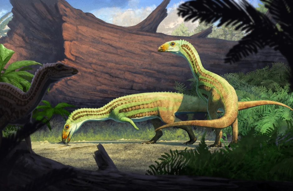 Художественная реконструкция вида Sonselasuchus cedrus в его естественной среде обитания