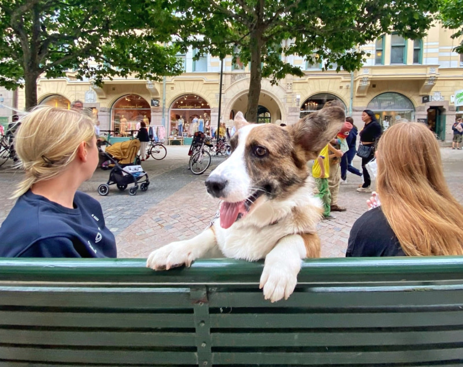 Путешествие с собакой 13.jpg