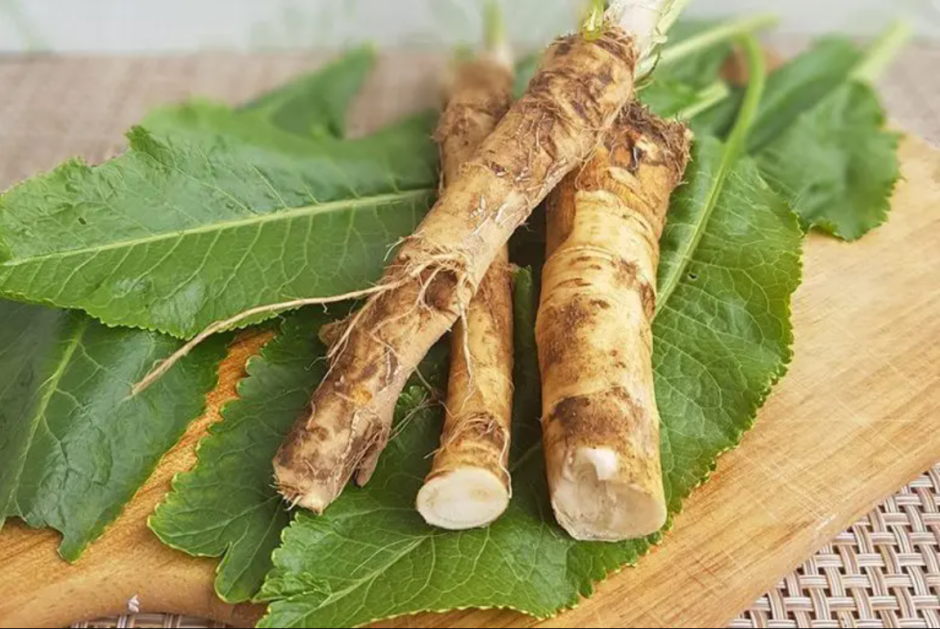 растение хрен растение хрен