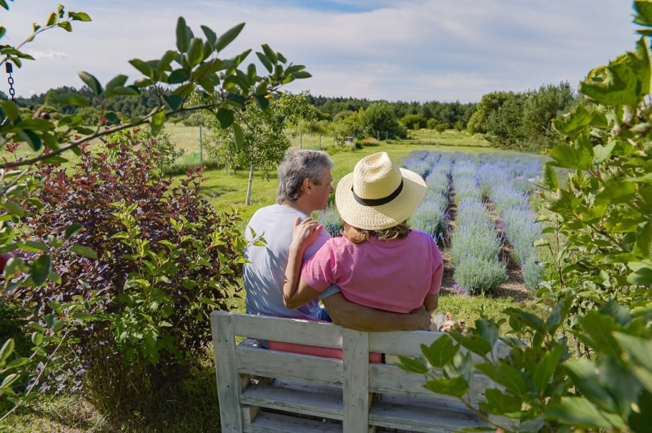Лавандовый сад в Барово 15.jpg