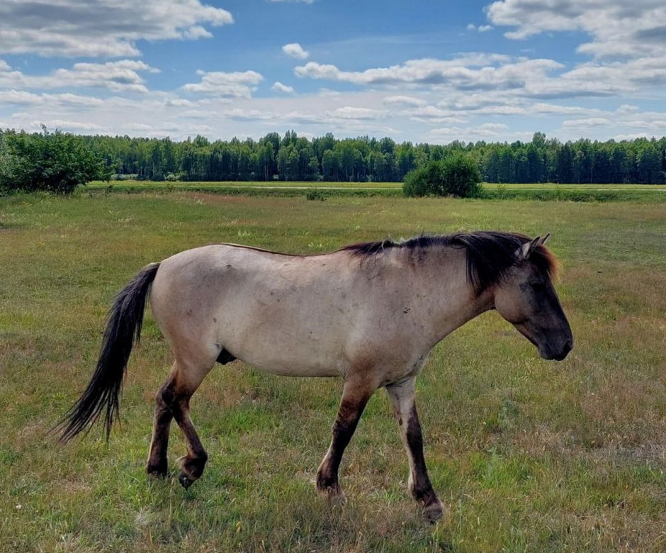 Репетитор в деревне 22.jpg