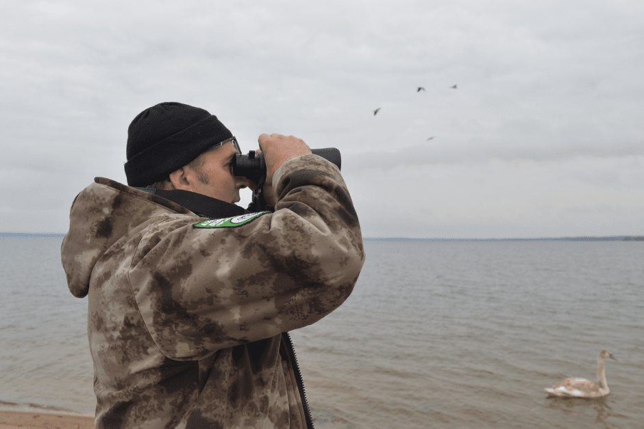 Прогулка с орнитологом 14_Виталий Кощеев.png