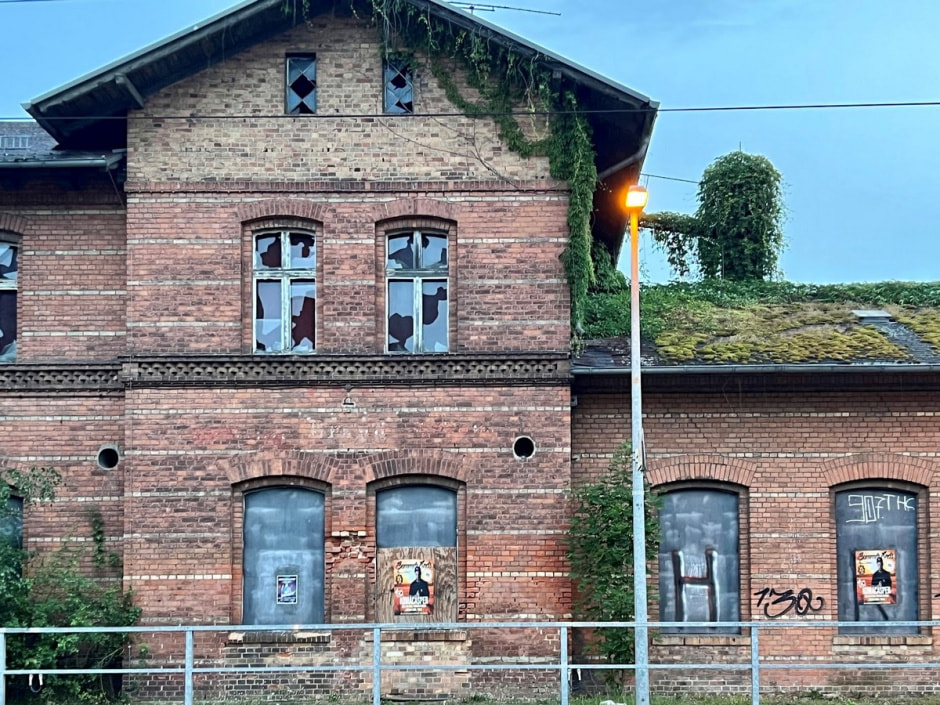 Крытый тропический лес 6.jpg