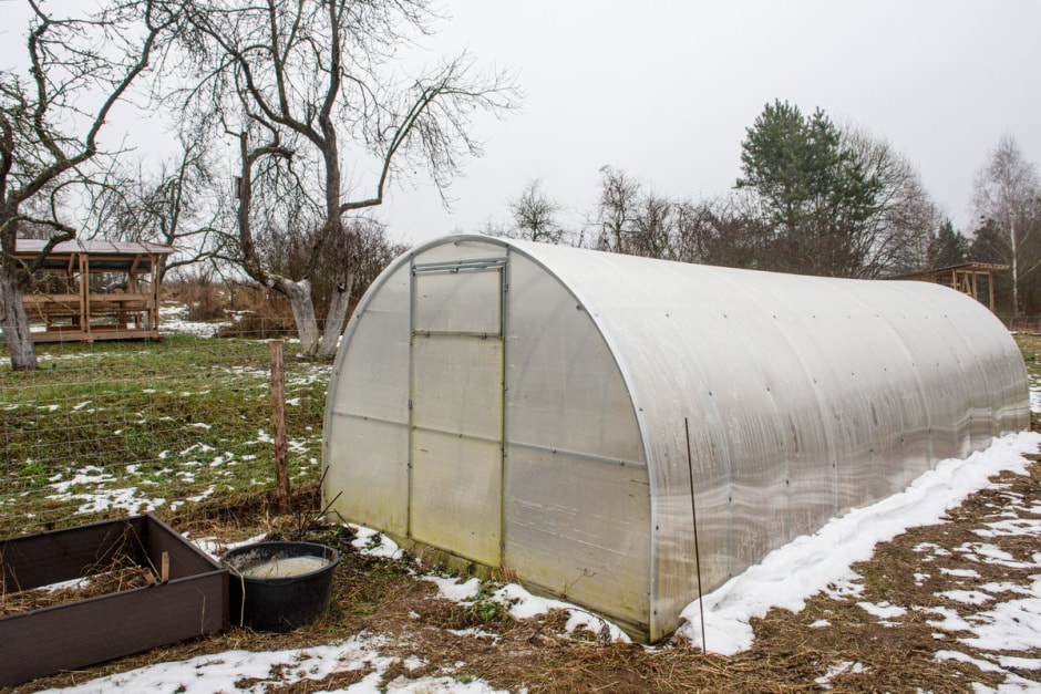 Семья Тузенковых в лесной глуши 12.jpg