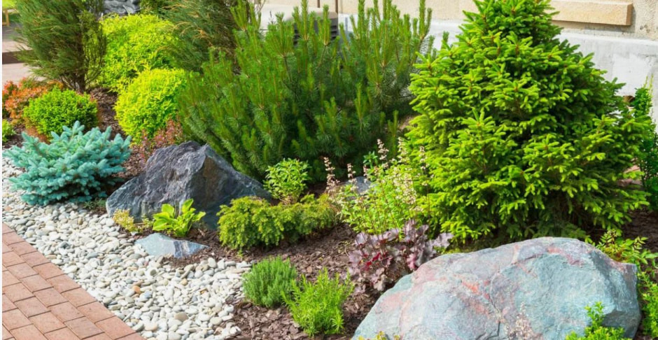 Сад-огород 4.jpg