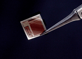 Тоньше волоса. Ученые создали мозговой чип, который передает мысли в реальном времени