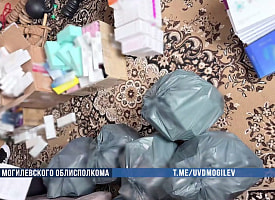 Увеличение губ обернулось уголовными делами в Могилеве