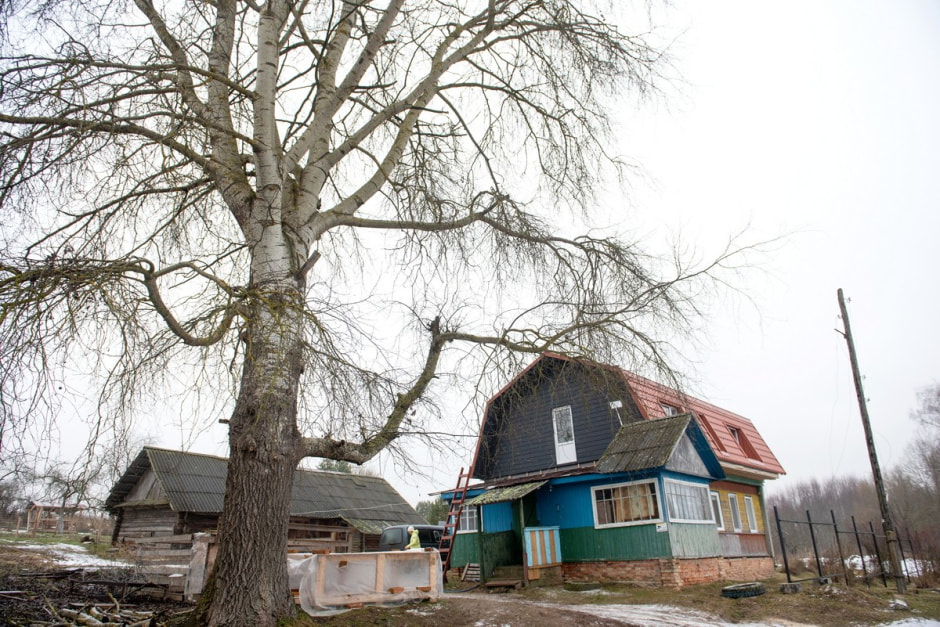 Семья Тузенковых в лесной глуши 2.jpg