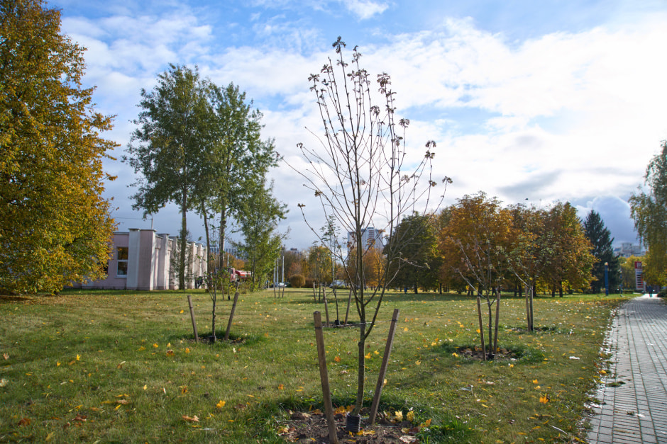 Фото 4.jpg Фото 4.jpg