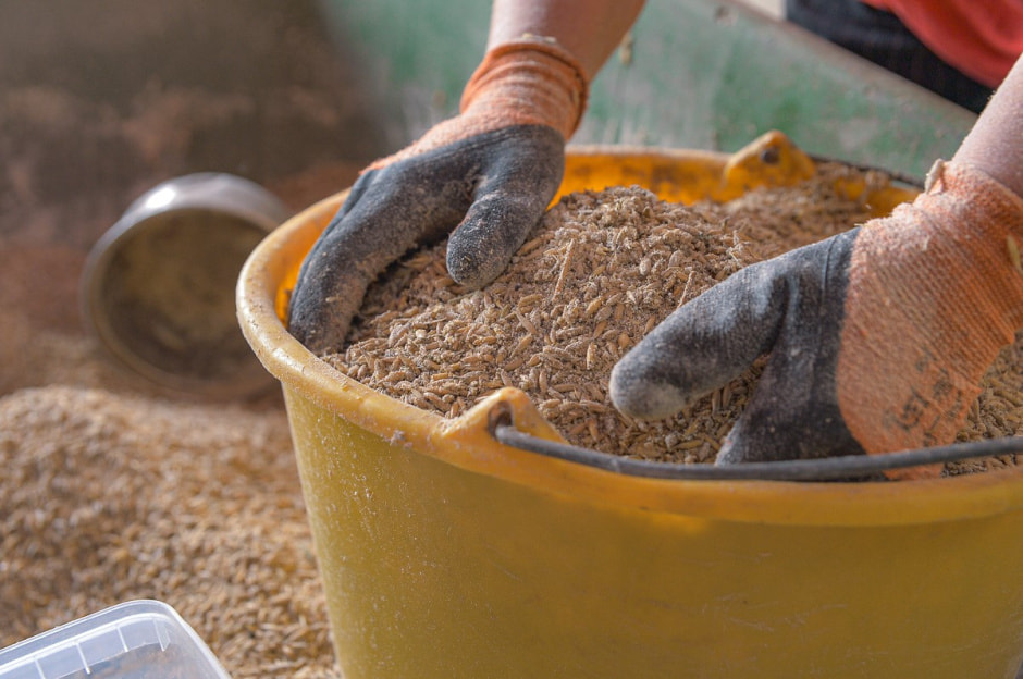 Лошади в Столинском районе 15.jpg