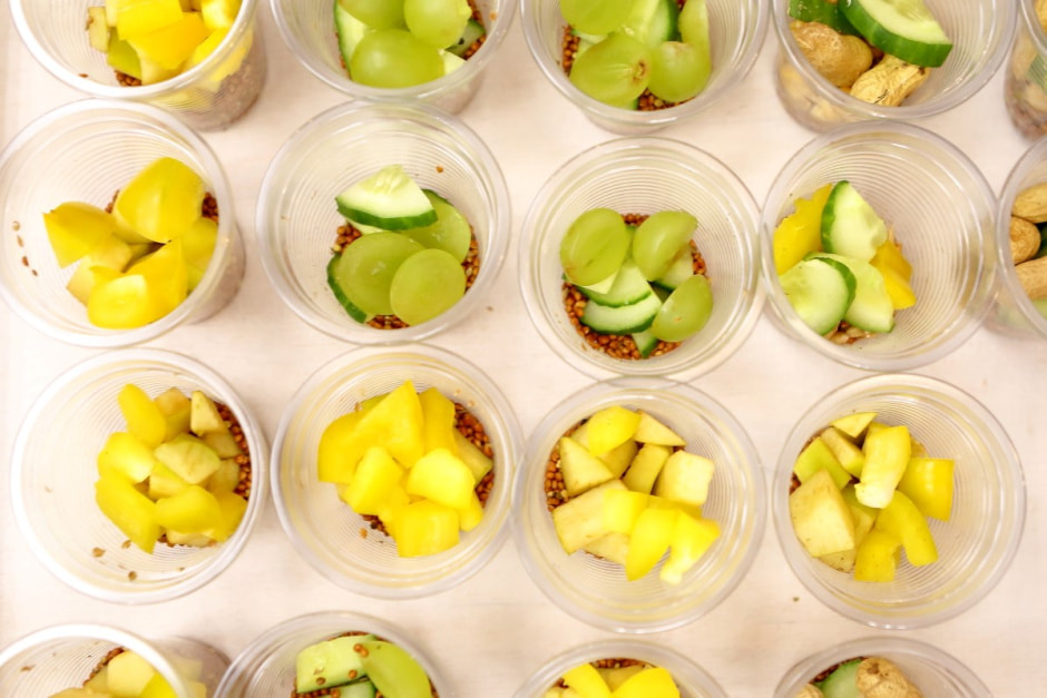 Попугайня в Витебске 5-1.jpg