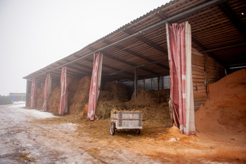 Юрий Карпилович и его зоопарк в Подгае 12.jpg