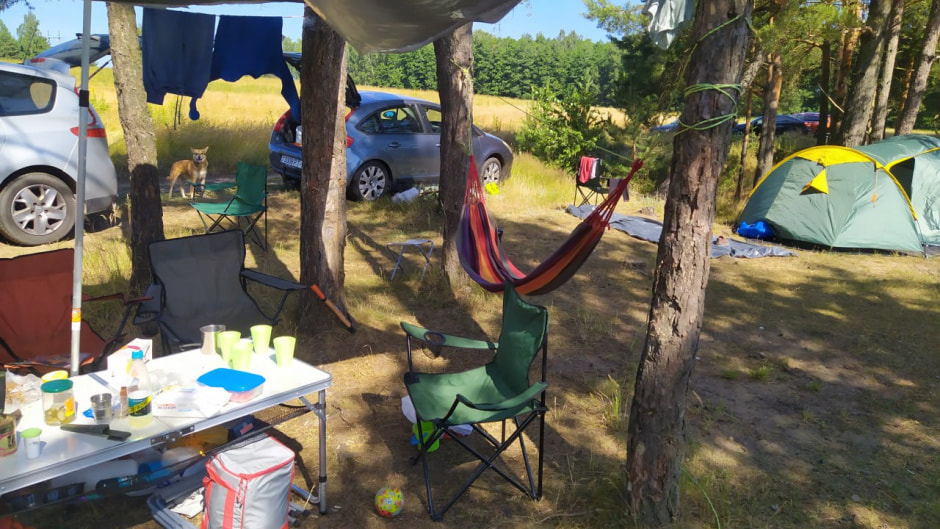 Отдых в лесу.jpg