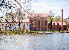 Фоторепортаж: как выглядит Лошицкий парк в короткий сезон весеннего цветения