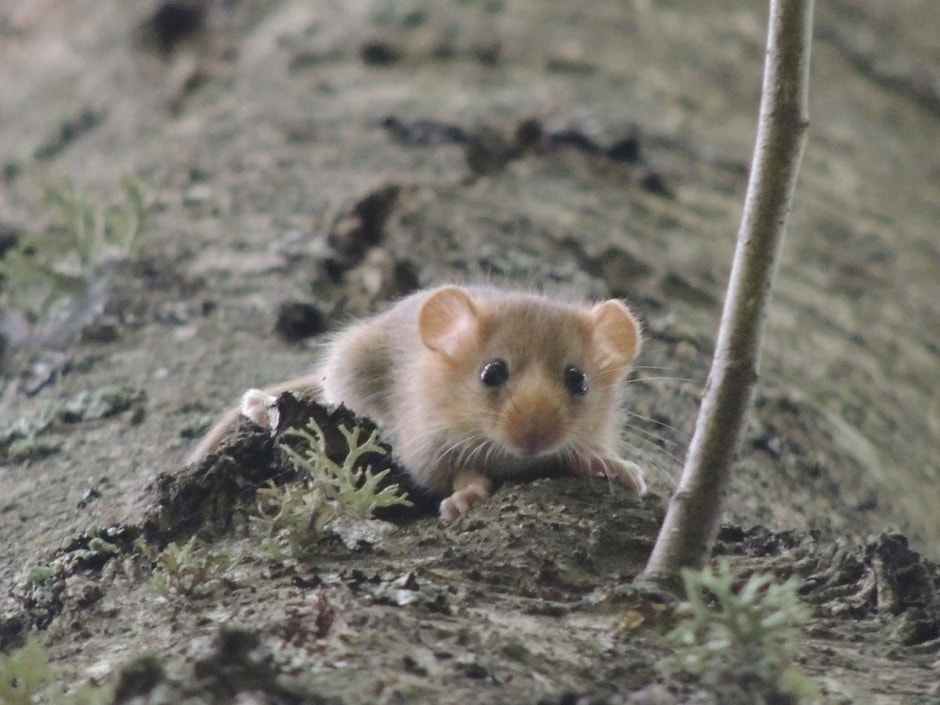 Экспедиция сони 1.jpg Экспедиция сони 1.jpg