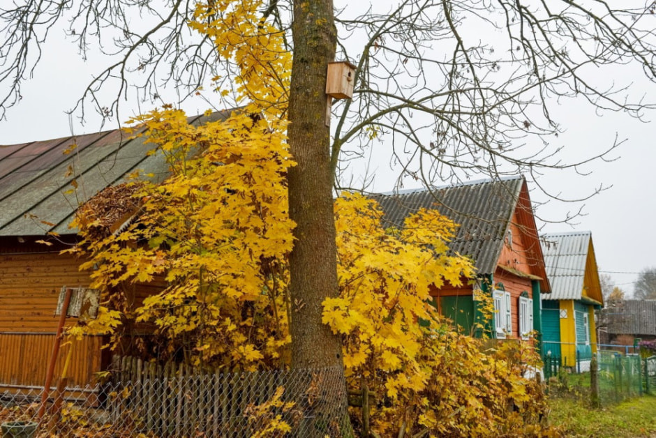 Как минчане переехали в деревню Вигушки 18.jpg