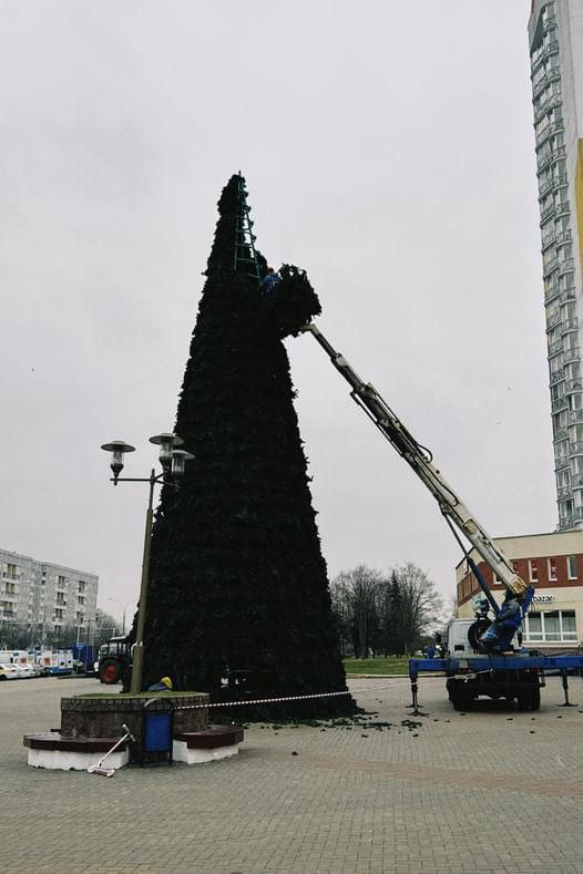 В Беларуси уже ставят новогодние елки на улицах.jpg