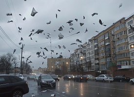 Угроза накроет большую часть Беларуси. Белгидромет объявил желтый уровень опасности