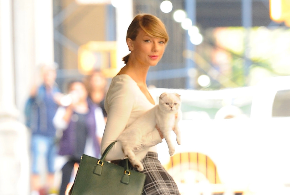 Taylor-Swift-and-her-cat-Olivia.jpeg