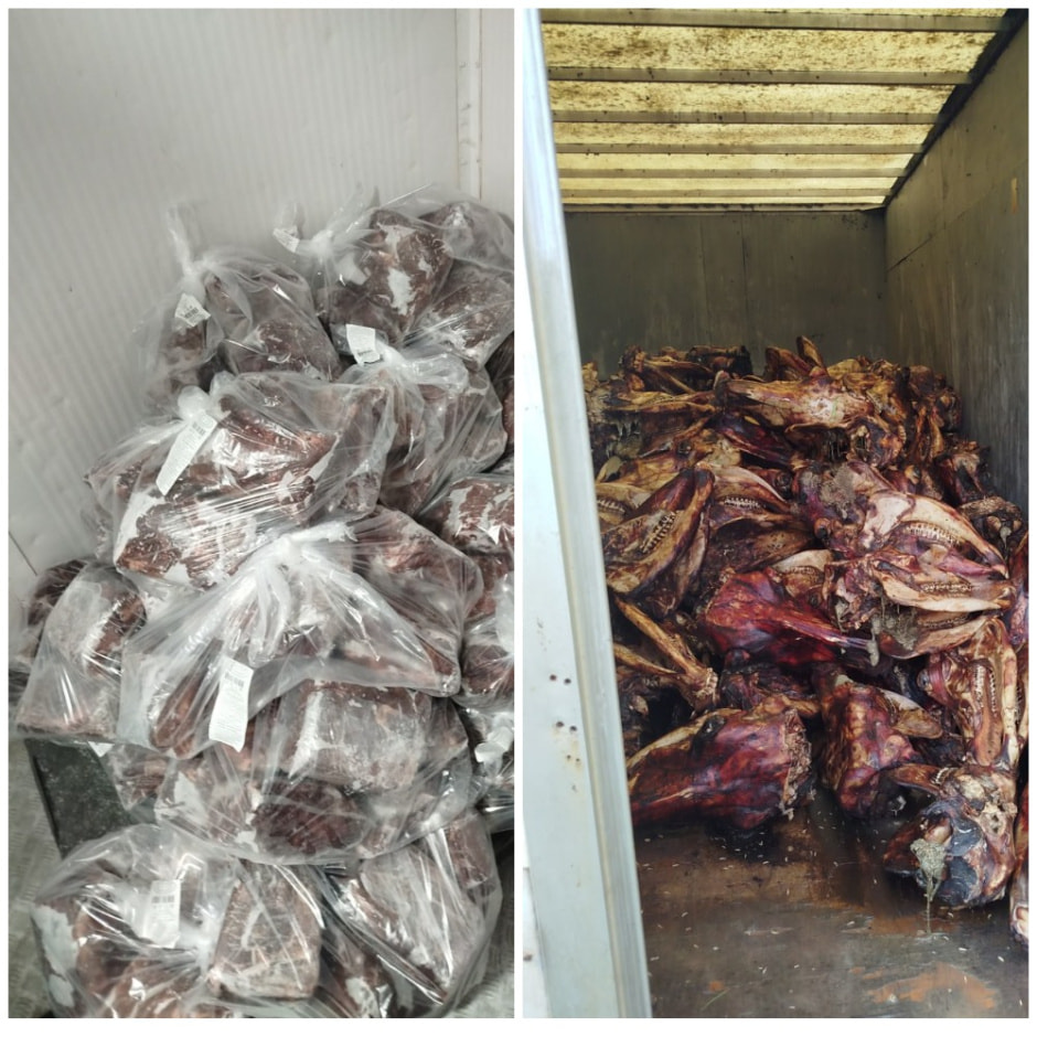 Нарушения в Новогрудке