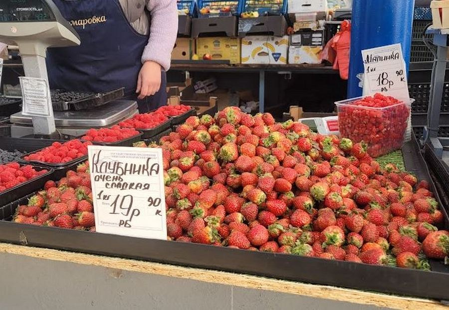 комаровка новая 4.JPG