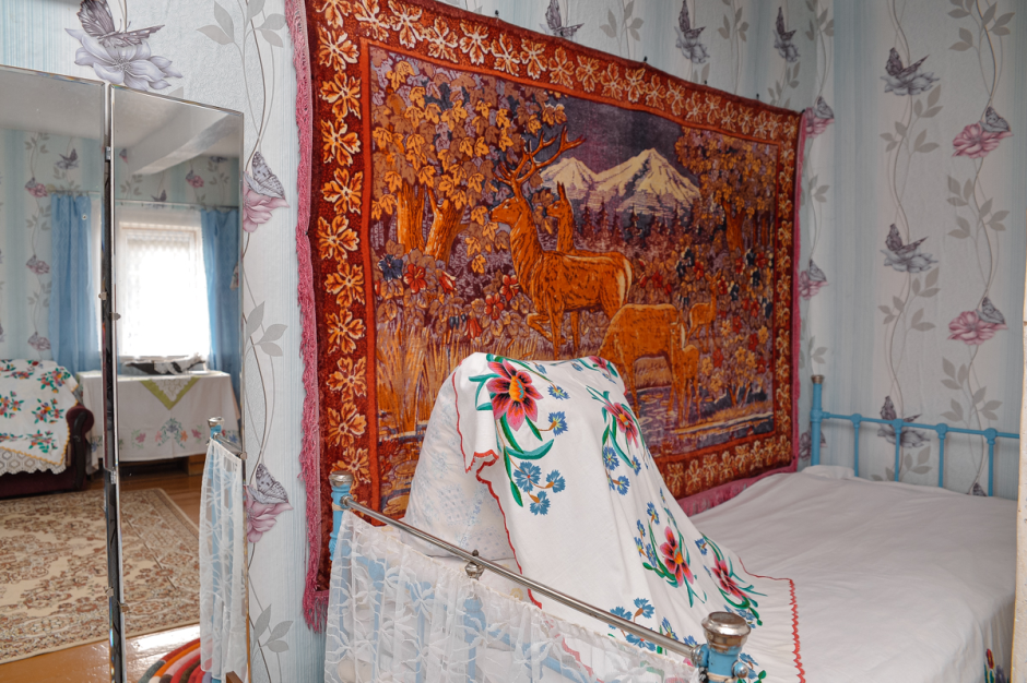 Бабушкин дом в Александровке 19.png