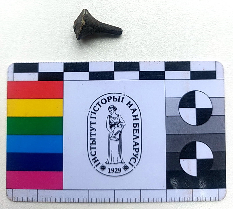 Ушачи раскопки.jpg