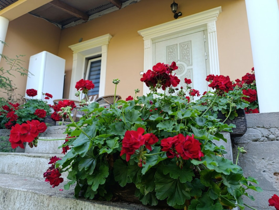 Семья Шатровых и их сыры 3.jpg