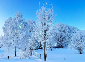 Оранжевый уровень на 3 февраля: утром в Беларуси ударит мороз до -30°С, на дорогах — гололедица