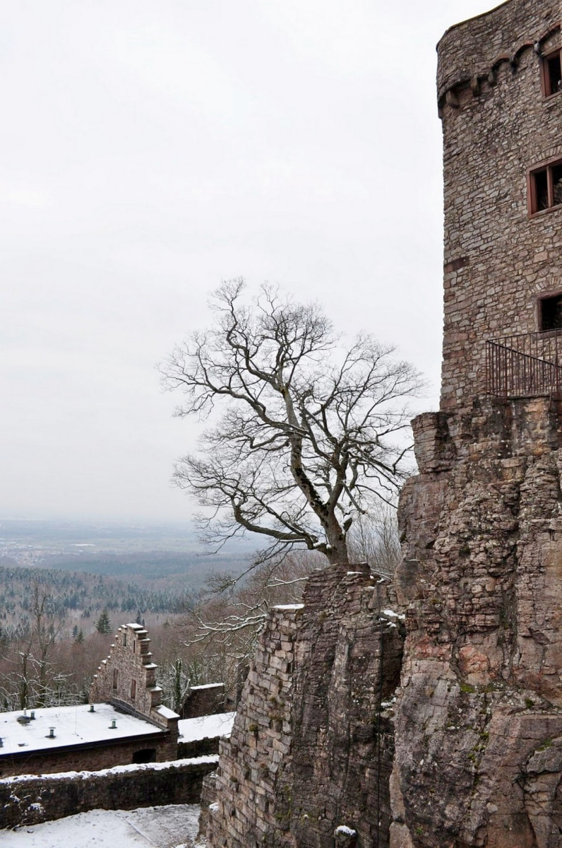 Баден-Баден 9.jpg Баден-Баден 9.jpg