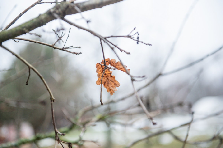 Семья Тузенковых в лесной глуши 18.jpg