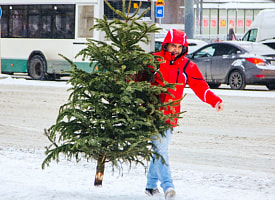 До -10°С. Синоптики пообещали белорусам “зимний сценарий” на Рождество