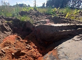 Более 44 тонн семян кукурузы закопали в Ивацевичском районе - ущерб на 8,8 тыс. рублей