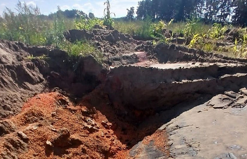 Более 44 тонн семян кукурузы закопали в Ивацевичском районе - ущерб на 8,8 тыс. рублей
